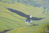 Peterborough, NH - Mural - Eagle